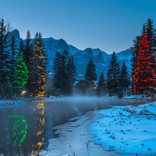 Decorated pine trees with red, green and gold lights for Christmas along a snowy creek by Spring Creek in Canmore, a festive way to celebrate the holidays and winter in Canmore.
