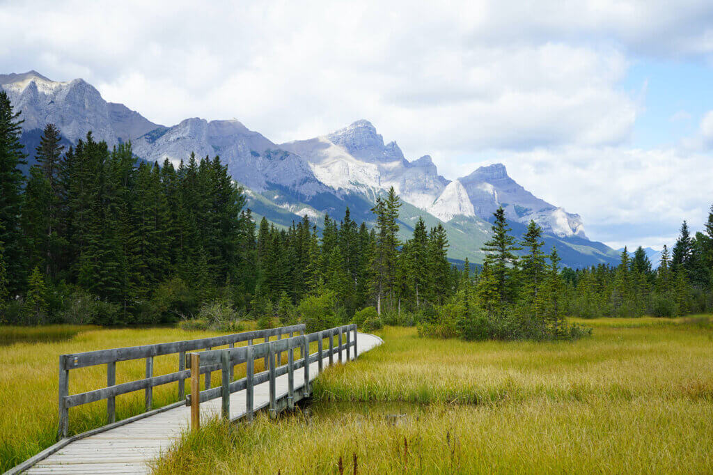 A boardwalk path crosses over a creek along a grassy field towards the forest, with mountains in the background in Canmore Alberta.