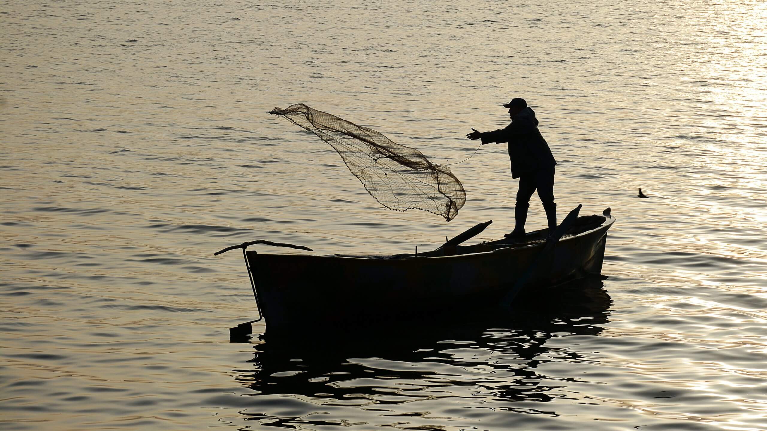 man throwing a net into the water off of a boat